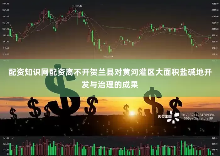 配资知识网配资离不开贺兰县对黄河灌区大面积盐碱地开发与治理的成果