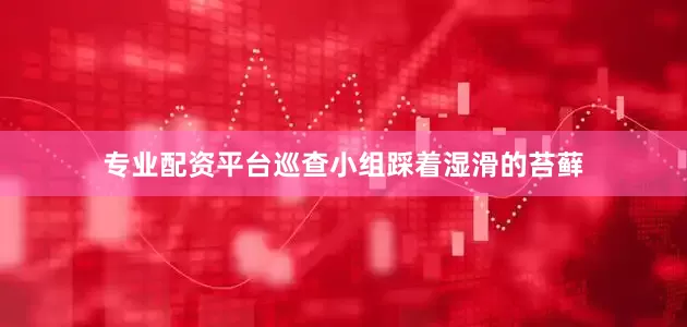 专业配资平台巡查小组踩着湿滑的苔藓